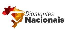 Plano Anual - Diamantes Nacionais (sistema gerencial + 4hs de consultoria)